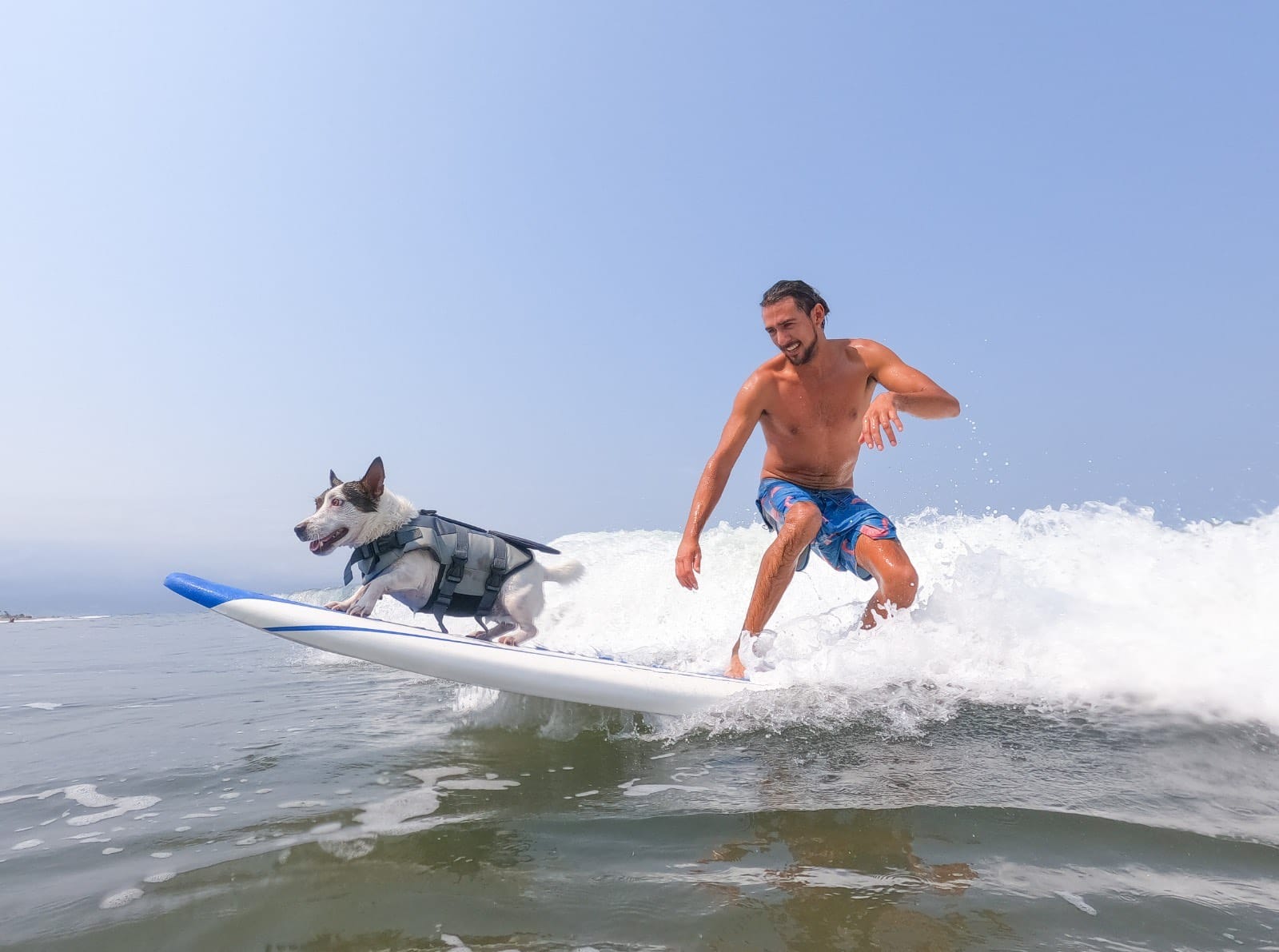 Surf Lessons Puerto Vallarta Vallarta Surf School